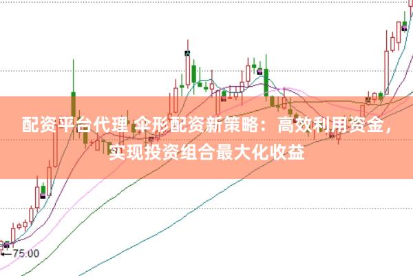 配资平台代理 伞形配资新策略：高效利用资金，实现投资组合最大化收益