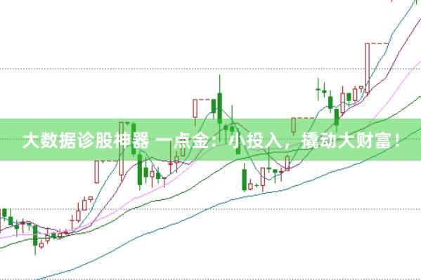 大数据诊股神器 一点金：小投入，撬动大财富！