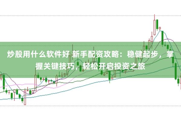 炒股用什么软件好 新手配资攻略：稳健起步，掌握关键技巧，轻松开启投资之旅