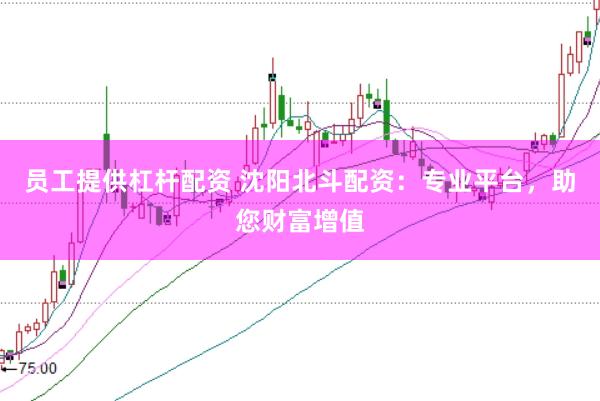 员工提供杠杆配资 沈阳北斗配资：专业平台，助您财富增值