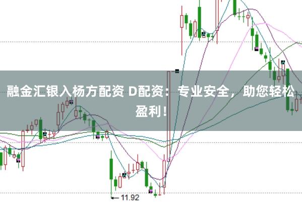 融金汇银入杨方配资 D配资：专业安全，助您轻松盈利！