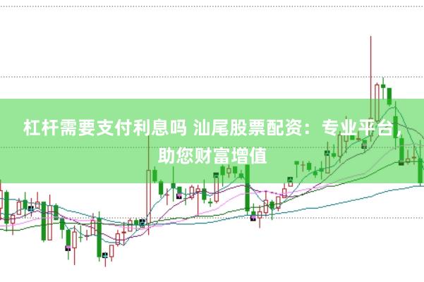 杠杆需要支付利息吗 汕尾股票配资：专业平台，助您财富增值