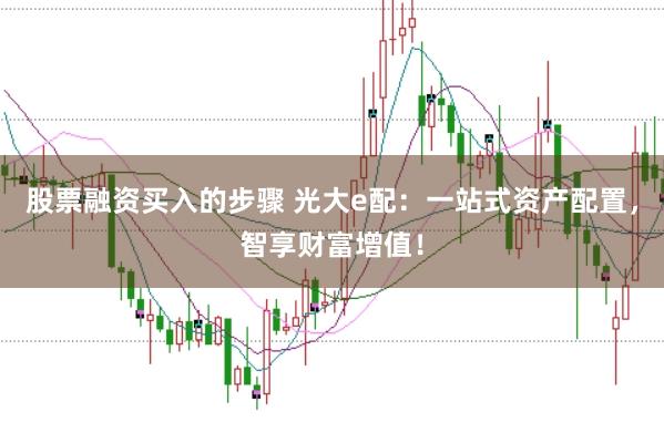 股票融资买入的步骤 光大e配：一站式资产配置，智享财富增值！