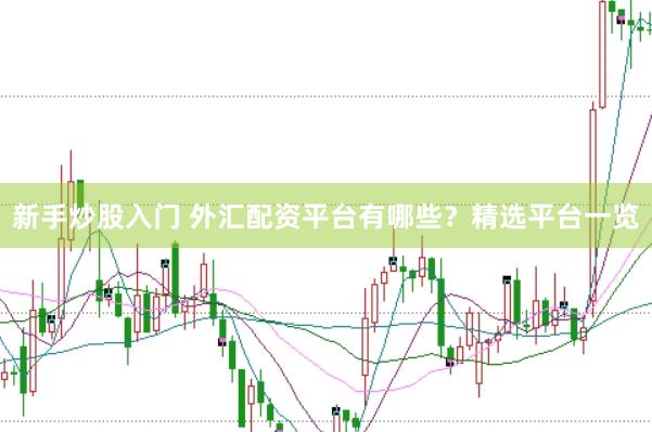 新手炒股入门 外汇配资平台有哪些？精选平台一览