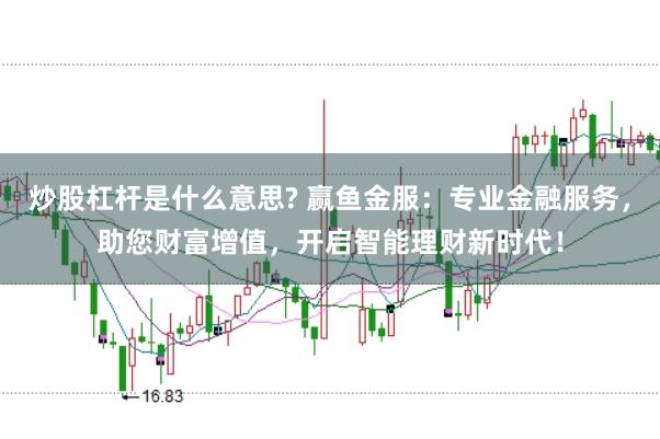 炒股杠杆是什么意思? 赢鱼金服：专业金融服务，助您财富增值，开启智能理财新时代！