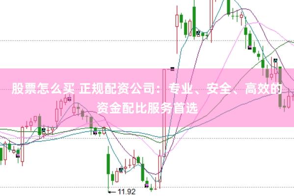 股票怎么买 正规配资公司：专业、安全、高效的资金配比服务首选