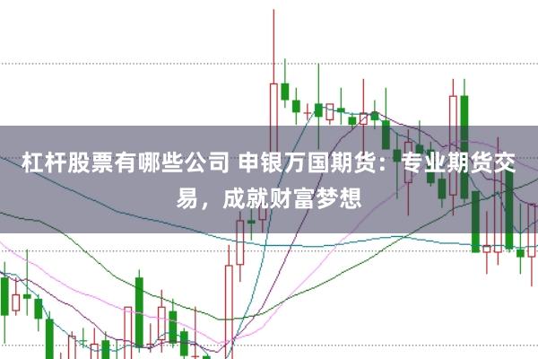 杠杆股票有哪些公司 申银万国期货：专业期货交易，成就财富梦想