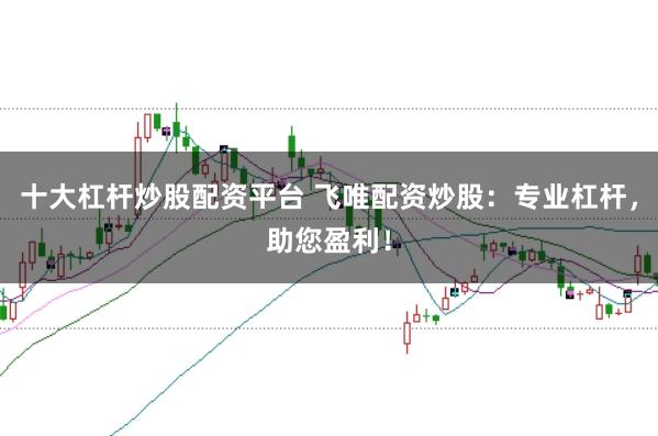 十大杠杆炒股配资平台 飞唯配资炒股：专业杠杆，助您盈利！