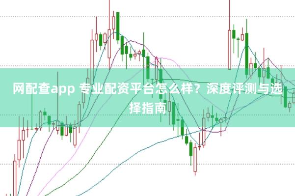 网配查app 专业配资平台怎么样?深度评测与选择指南