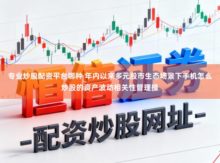 专业炒股配资平台哪种 年内以来多元股市生态场景下手机怎么炒股的资产波动相关性管理操